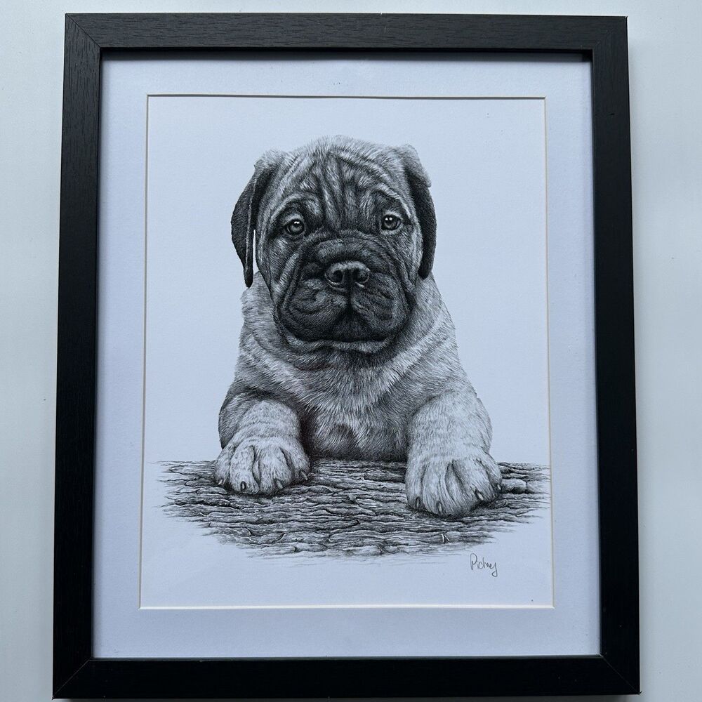 Vintage Bullmastiff Puppy Hand Signed Print Framed Roger Pidney Davidson Art